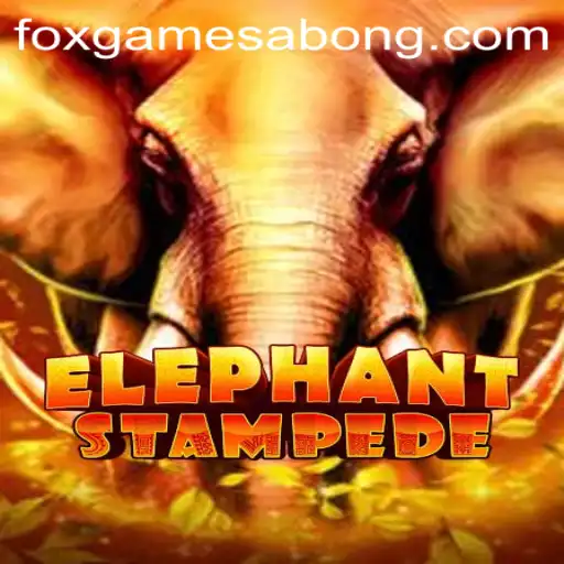 ElephantStampede: Unleashing the Adventure in Foxgame